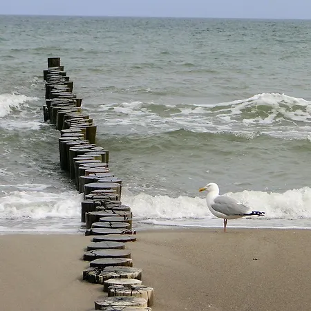 게스트하우스 An Der Reling 도누메시어